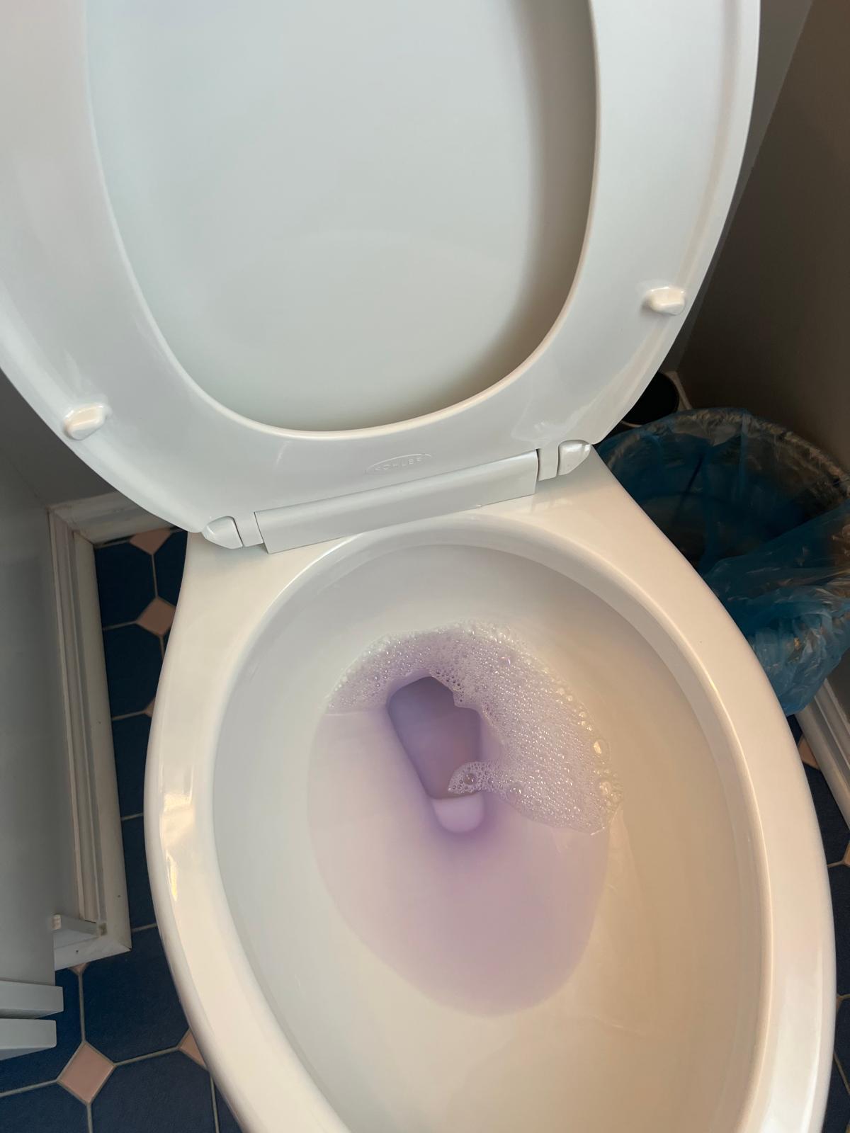 0382a15e-23c6-4a2f-a3a2-09260e0263a4