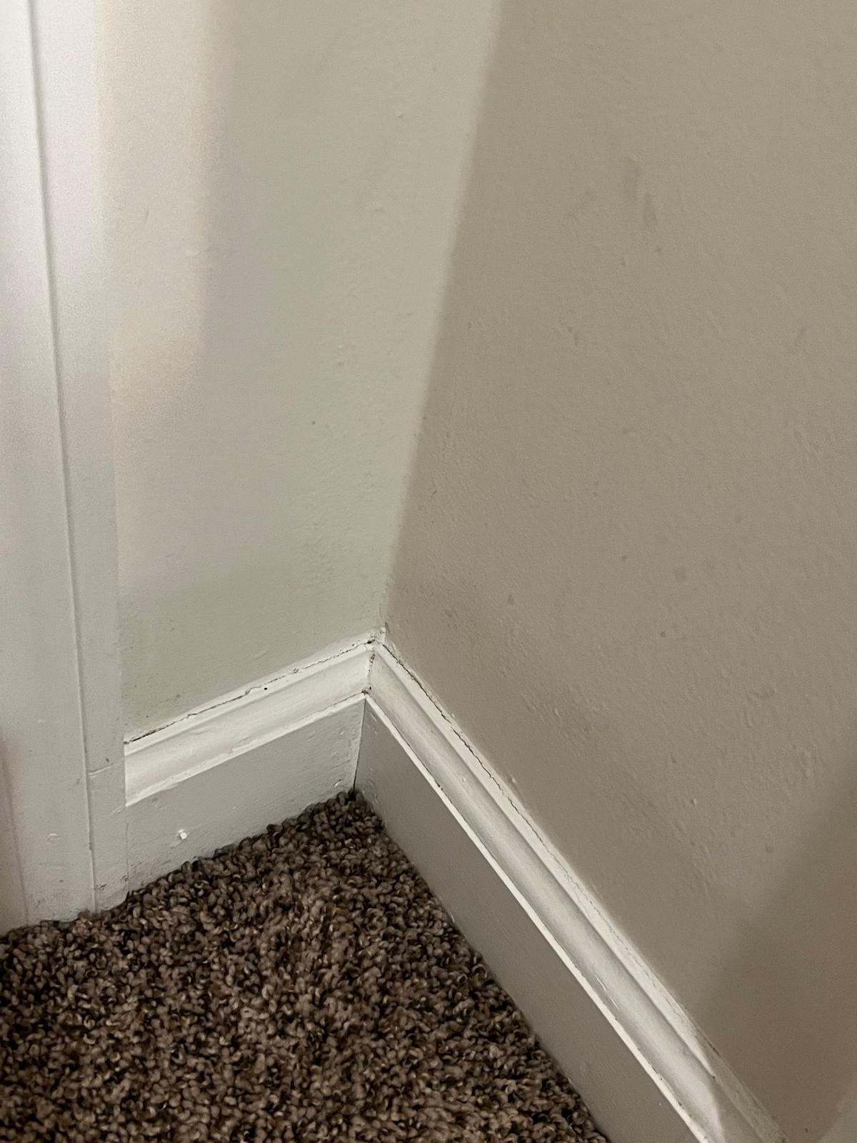 152b0a9a-349c-46bd-bfee-c9884af7b1f1