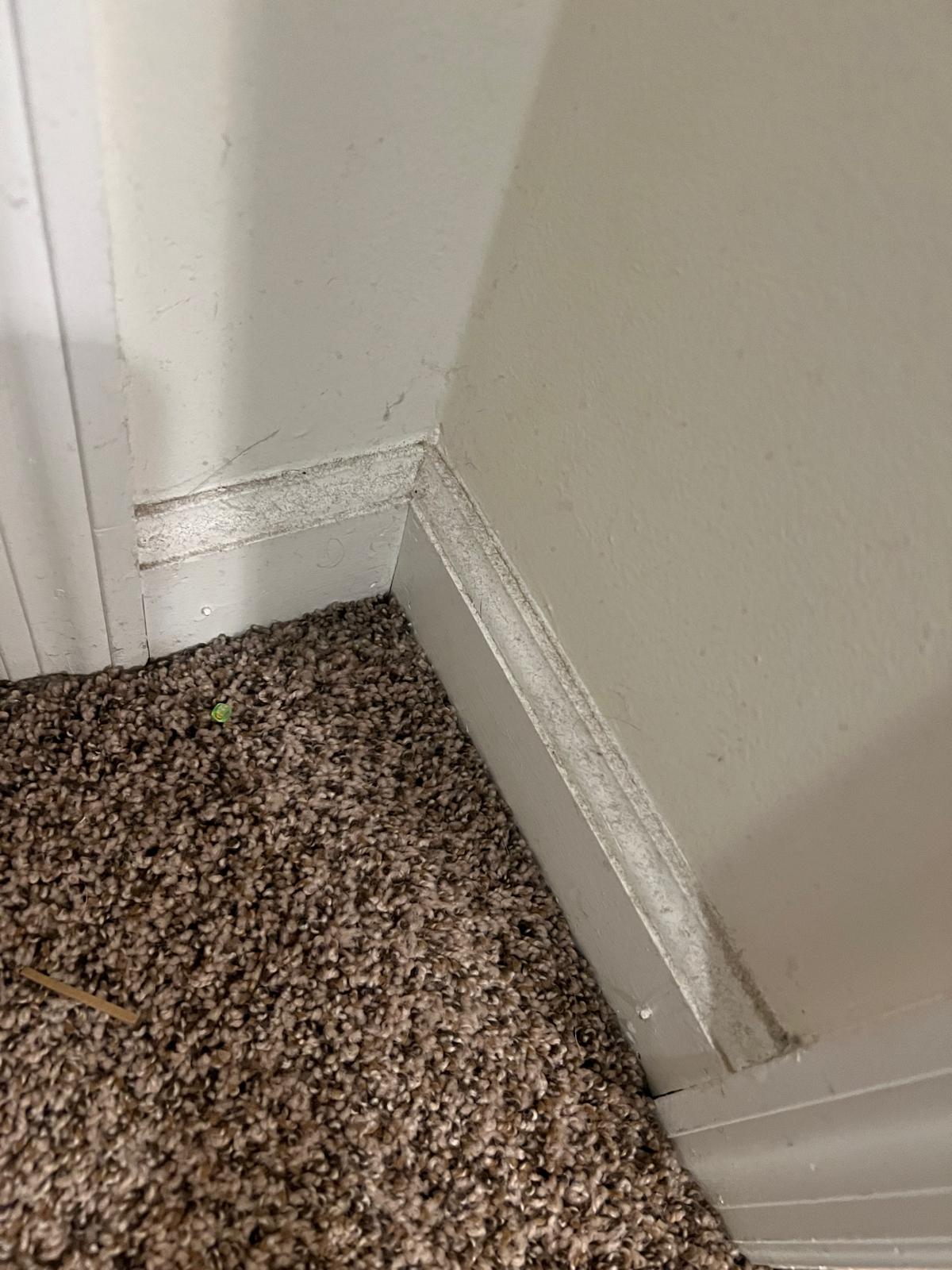 4328ac31-8d49-4bcf-9229-0920c9b9634c